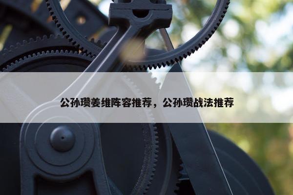 公孙瓒姜维阵容推荐，公孙瓒战法推荐