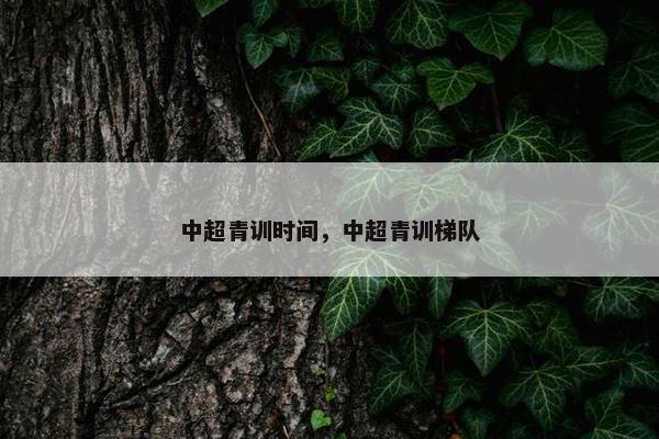 中超青训时间，中超青训梯队