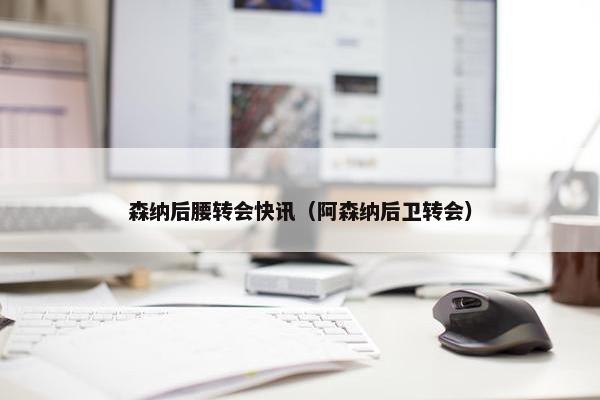 森纳后腰转会快讯（阿森纳后卫转会）