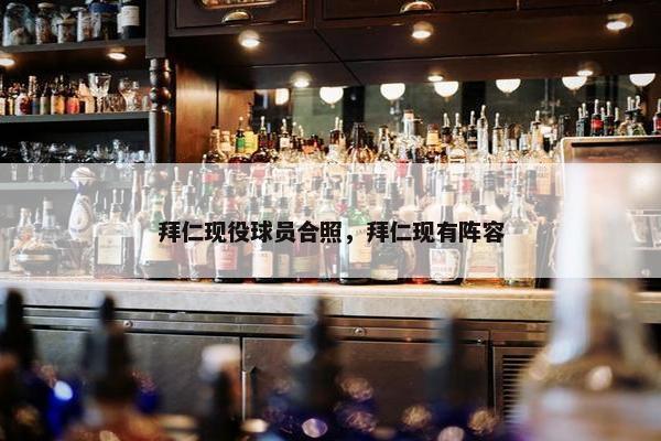 拜仁现役球员合照，拜仁现有阵容