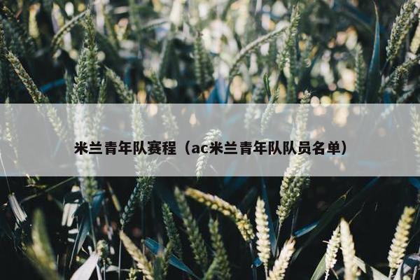 米兰青年队赛程（ac米兰青年队队员名单）