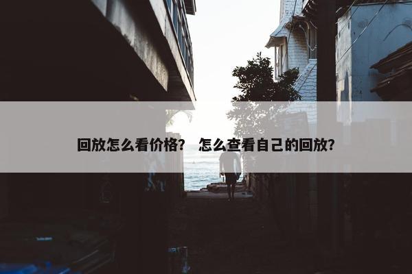 回放怎么看价格？ 怎么查看自己的回放？
