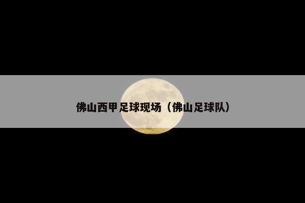 佛山西甲足球现场（佛山足球队）