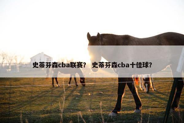 史蒂芬森cba联赛？ 史蒂芬森cba十佳球？