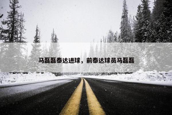 马磊磊泰达进球，前泰达球员马磊磊