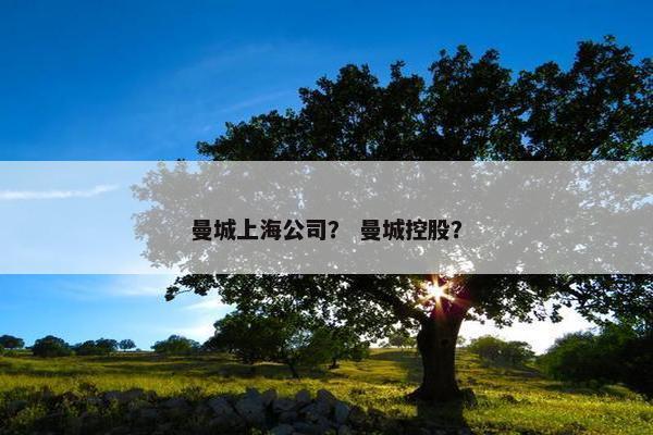 曼城上海公司？ 曼城控股？