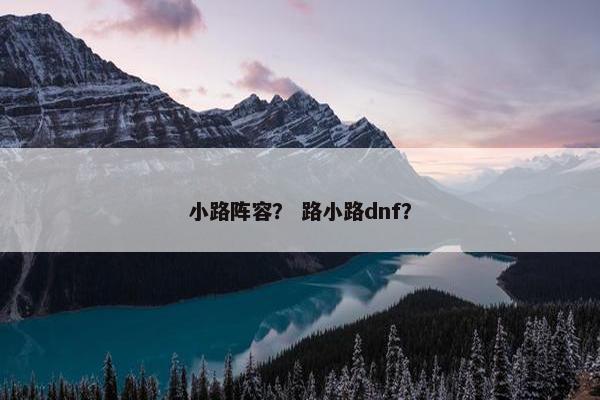 小路阵容？ 路小路dnf？