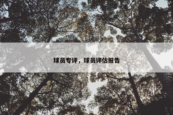 球员专评，球员评估报告