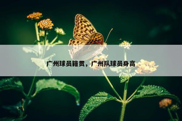 广州球员籍贯，广州队球员身高