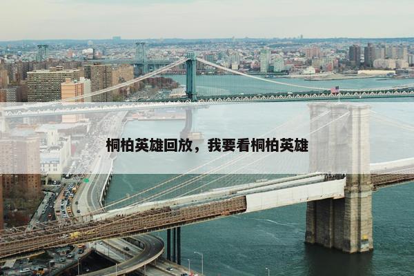 桐柏英雄回放，我要看桐柏英雄