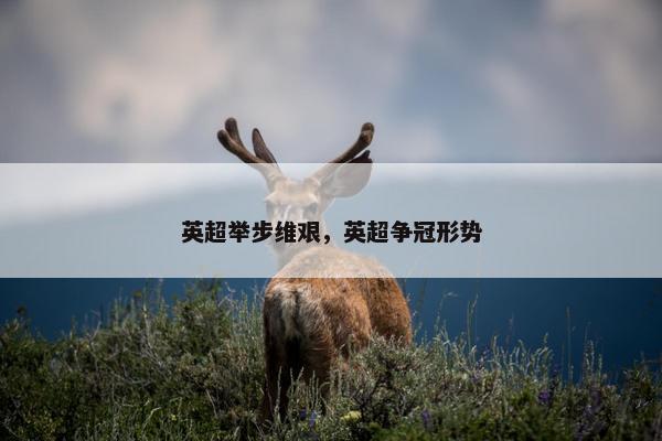 英超举步维艰，英超争冠形势