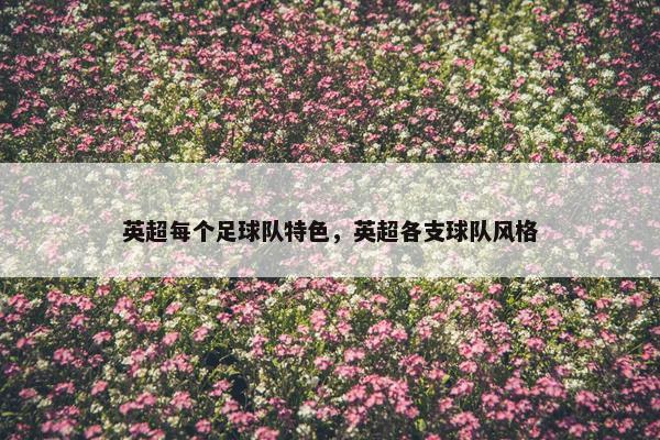英超每个足球队特色，英超各支球队风格