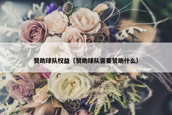 赞助球队权益（赞助球队需要赞助什么）