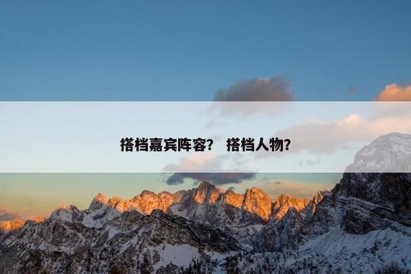 搭档嘉宾阵容？ 搭档人物？