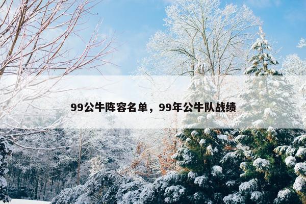 99公牛阵容名单，99年公牛队战绩