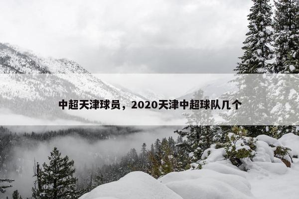 中超天津球员，2020天津中超球队几个