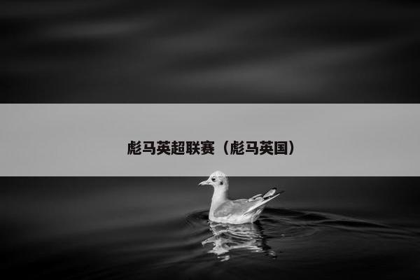 彪马英超联赛（彪马英国）