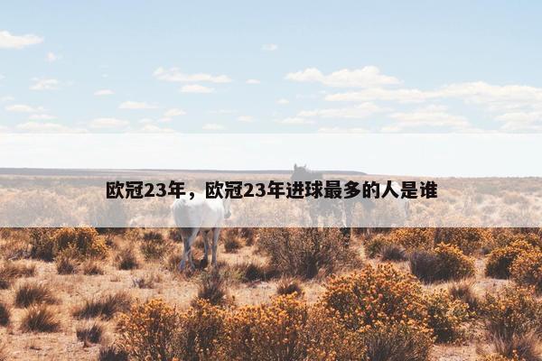 欧冠23年，欧冠23年进球最多的人是谁