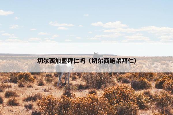 切尔西加盟拜仁吗（切尔西绝杀拜仁）