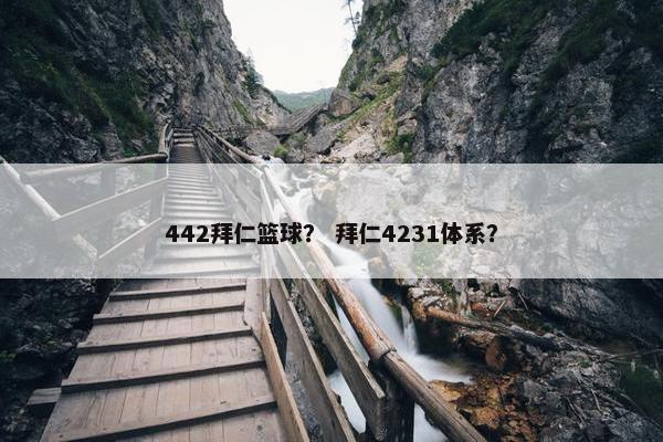 442拜仁篮球？ 拜仁4231体系？