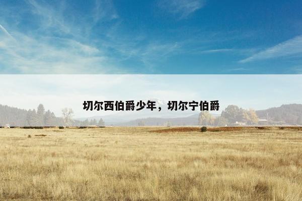 切尔西伯爵少年，切尔宁伯爵