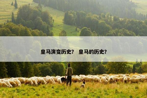 皇马演变历史？ 皇马的历史？