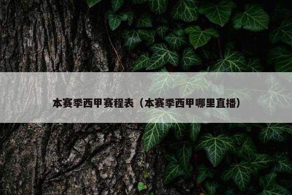 本赛季西甲赛程表（本赛季西甲哪里直播）