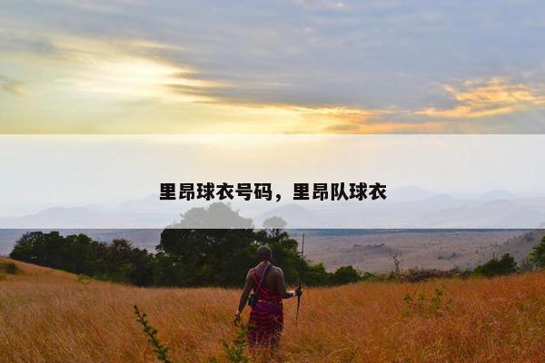 里昂球衣号码，里昂队球衣