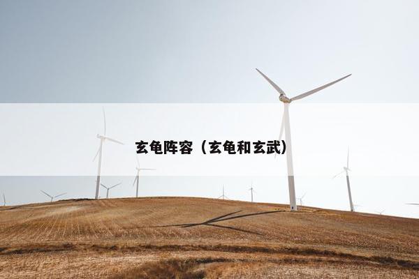 玄龟阵容(玄龟和玄武) 玄龟阵容(玄龟和玄武)