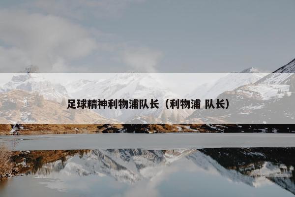 足球精神利物浦队长（利物浦 队长）