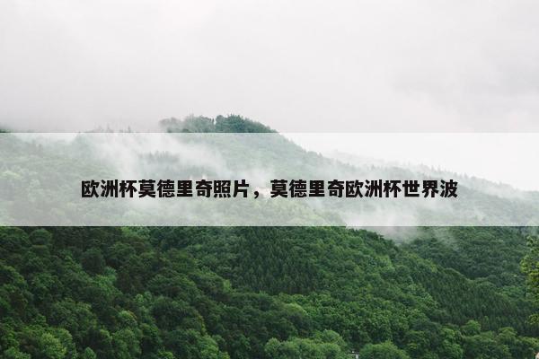 欧洲杯莫德里奇照片，莫德里奇欧洲杯世界波