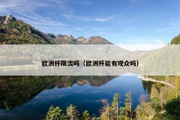 欧洲杯限流吗（欧洲杯能有观众吗）