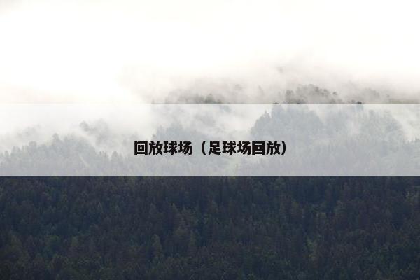 回放球场（足球场回放）