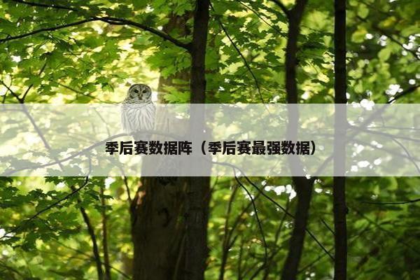 季后赛数据阵（季后赛最强数据）
