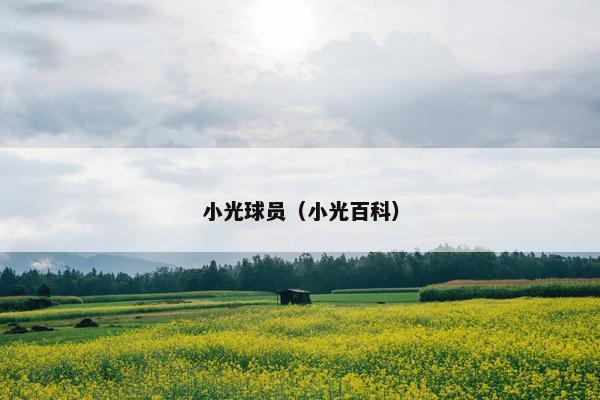 小光球员（小光百科）