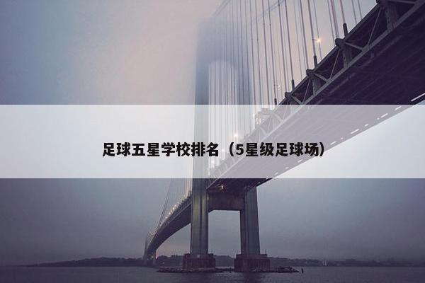 足球五星学校排名（5星级足球场）