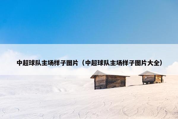 中超球队主场样子图片（中超球队主场样子图片大全）