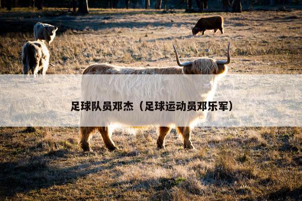 足球队员邓杰（足球运动员邓乐军）