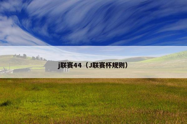 j联赛44（J联赛杯规则）