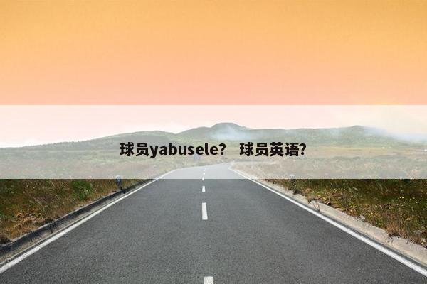 球员yabusele？ 球员英语？