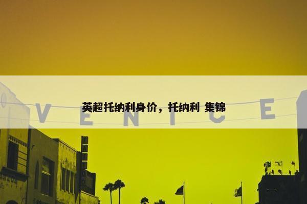 英超托纳利身价，托纳利 集锦