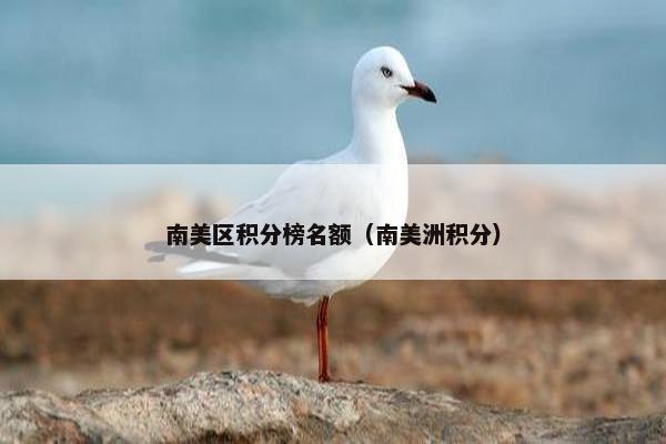 南美区积分榜名额（南美洲积分）
