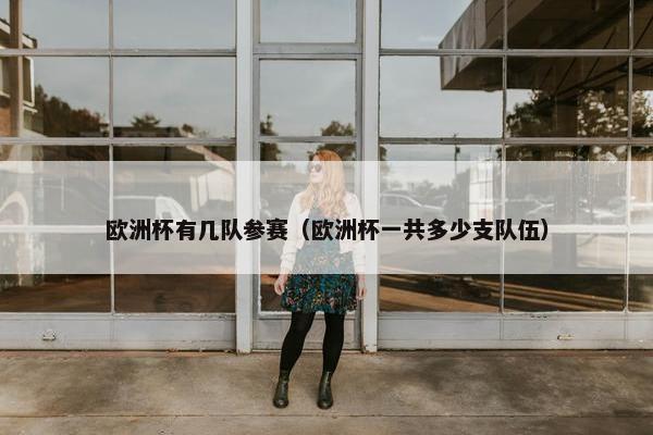 欧洲杯有几队参赛（欧洲杯一共多少支队伍）