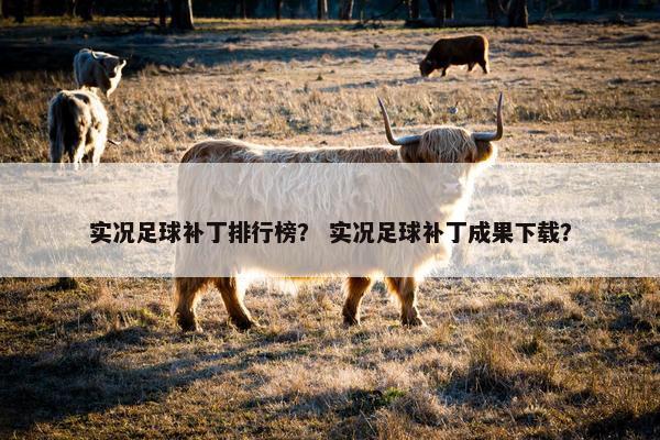 实况足球补丁排行榜？ 实况足球补丁成果下载？