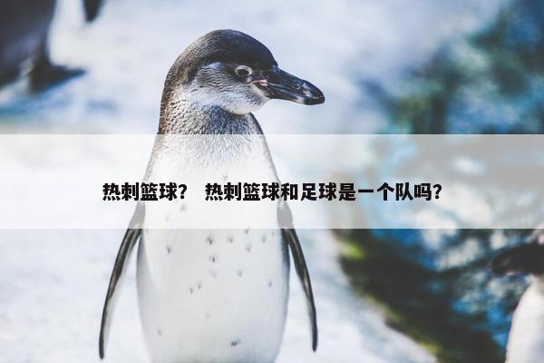 热刺篮球？ 热刺篮球和足球是一个队吗？