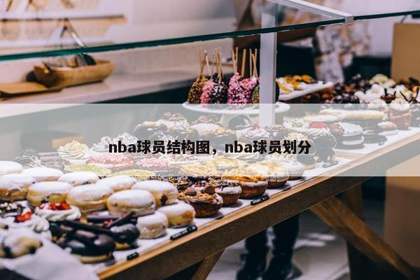 nba球员结构图，nba球员划分