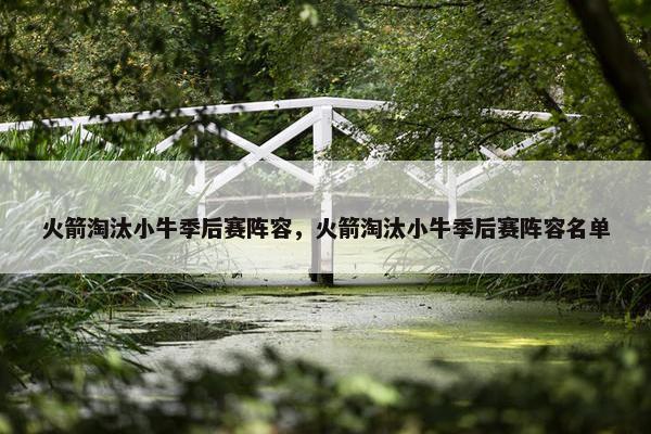 火箭淘汰小牛季后赛阵容，火箭淘汰小牛季后赛阵容名单