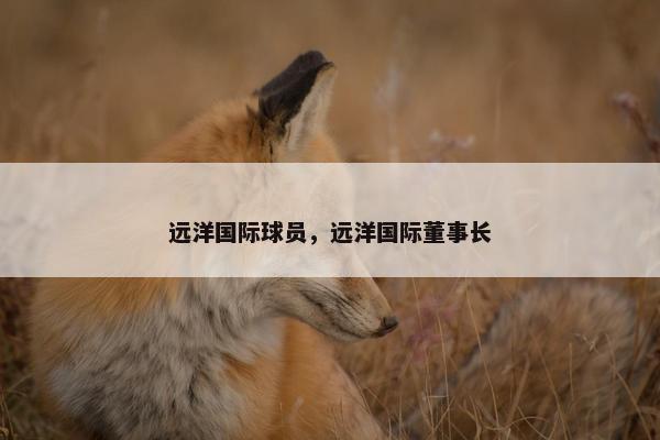 远洋国际球员，远洋国际董事长