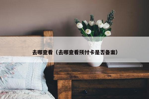 去哪查看（去哪查看预付卡是否备案）