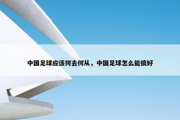 中国足球应该何去何从，中国足球怎么能搞好